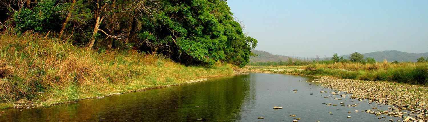 Sonanadi Wildlife Sanctuary Forest Lodge / Zone | Jim Corbett National Park Online Booking Website | India